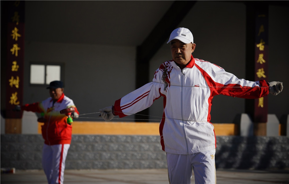 揭秘必中一肖劉伯溫四不像，神秘傳奇背后的真相，揭秘劉伯溫四不像背后的神秘傳奇真相