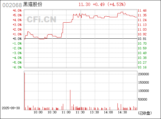 深入了解，關(guān)于股票代碼中的秘密——002068，揭秘股票代碼中的秘密，002068深度解析