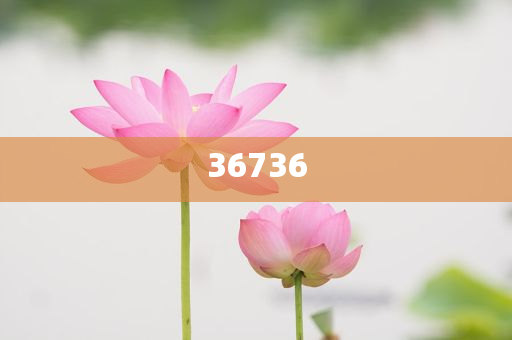 揭秘7777788888精準(zhǔn)新傳真，真相大揭秘，揭秘精準(zhǔn)新傳真背后的真相，77777與88888的神秘面紗被揭開(kāi)