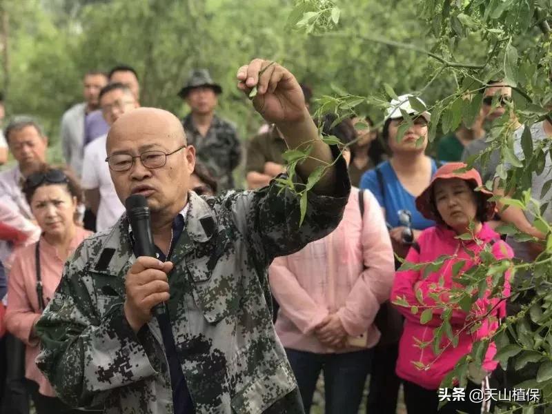 長期吃紅棗的潛在害處，了解并平衡飲食健康，長期食用紅棗的潛在風(fēng)險(xiǎn)與飲食平衡的重要性