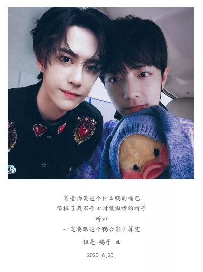 王中王一肖中特一肖精準預測——揭秘生肖運勢與未來展望，揭秘生肖運勢預測，王中王一肖精準預測未來展望