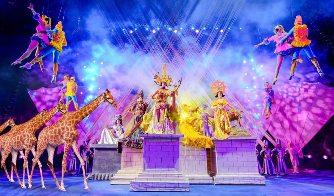 新奧門天天開將資料大全——全面解析與實(shí)用指南，新奧門天天開將資料大全，全面解析與指南