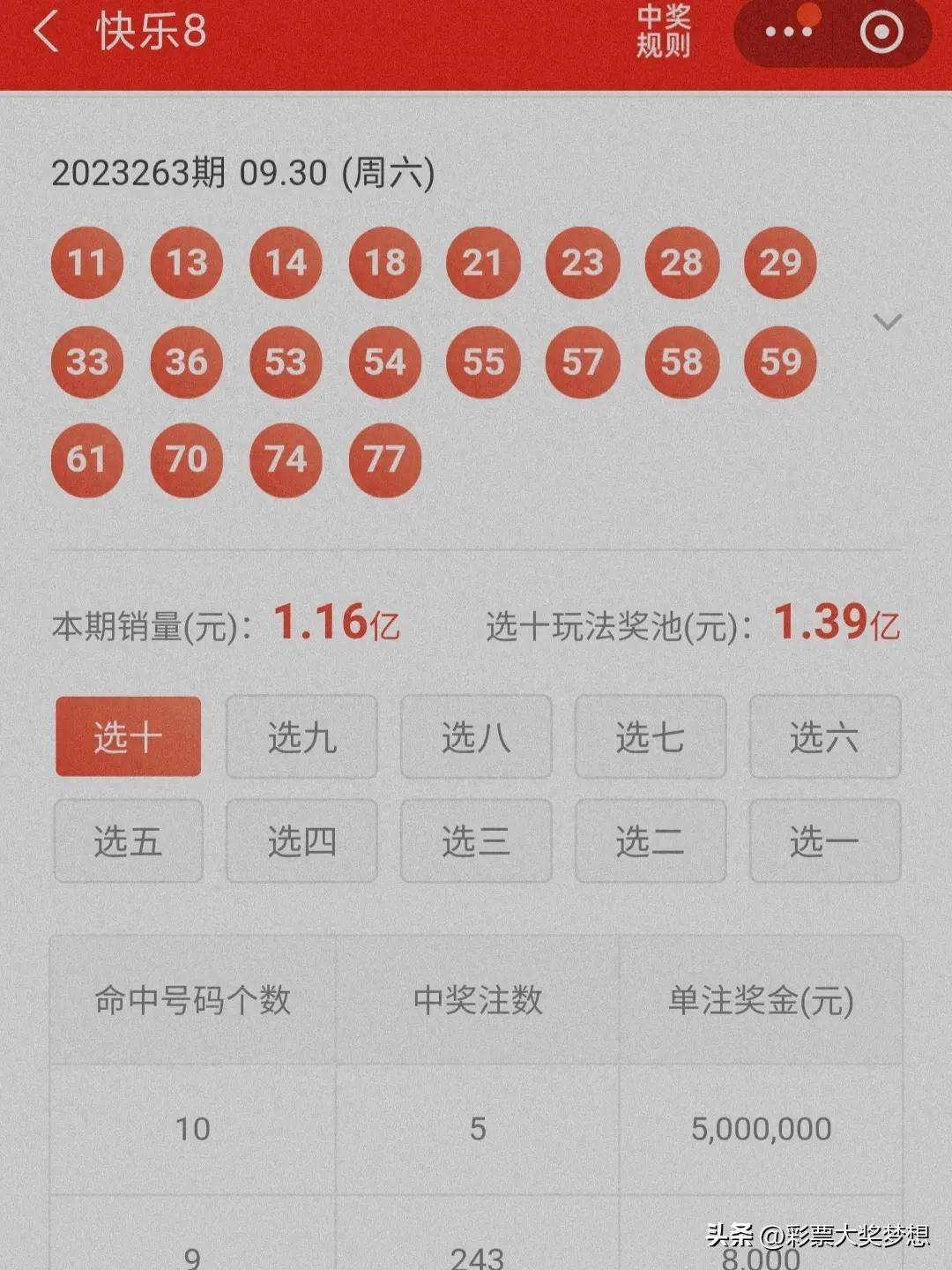 揭秘王中王四肖必中一肖中特，深度解析與SEO優(yōu)化策略，揭秘王中王四肖必中一肖中特，深度解析與SEO策略全攻略