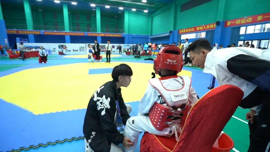 2021王中王資料一肖，深度解析與探索，揭秘王中王資料一肖，深度解析與探索