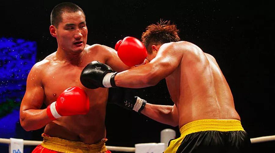 王中王85期指一生肖——深度解析與預(yù)測(cè)，王中王85期生肖深度解析與預(yù)測(cè)