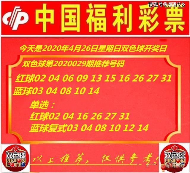 王中王029期指一生肖，揭秘生肖魅力與預(yù)測背后的秘密，揭秘生肖魅力與預(yù)測背后的秘密，王中王生肖預(yù)測第029期揭曉