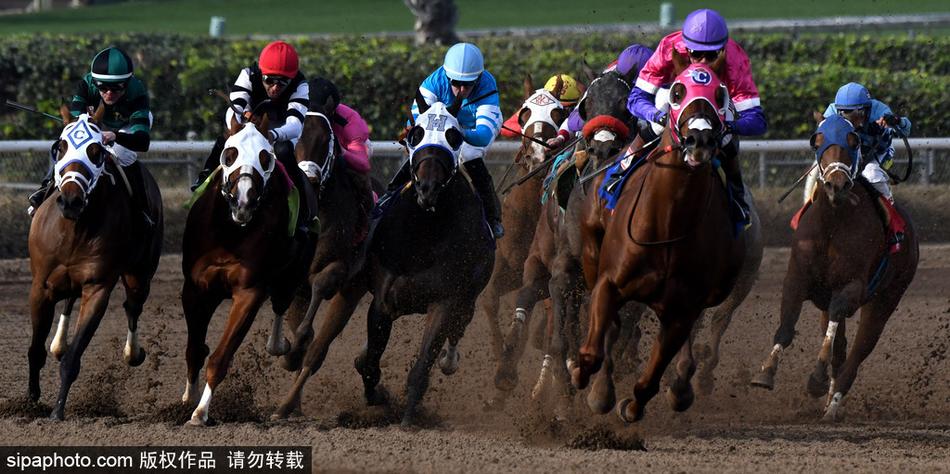 王中王馬開獎一肖中，揭秘彩票背后的秘密與策略，揭秘彩票背后的秘密與策略，王中王馬開獎一肖中的真相探討