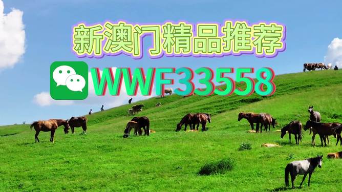 揭秘精準(zhǔn)預(yù)測一肖的秘密，解碼77777與88888的神秘?cái)?shù)字組合，揭秘精準(zhǔn)預(yù)測生肖的秘密，數(shù)字組合77777與88888的神秘解碼