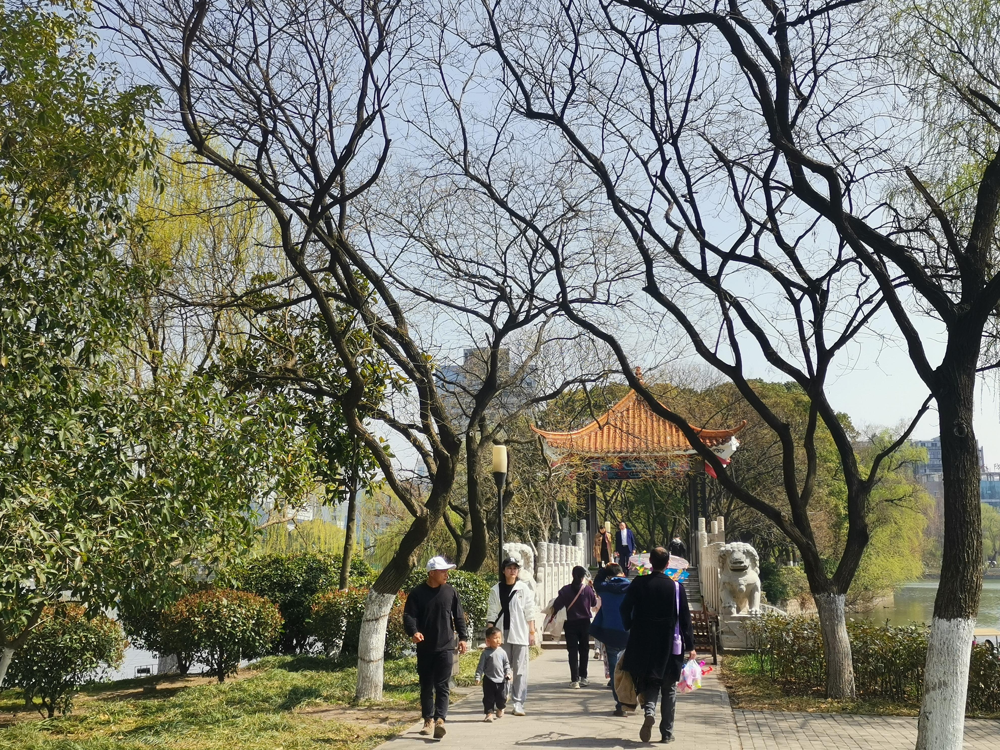 澳門75期最快天天開獎，揭秘彩票背后的秘密與策略，澳門75期天天開獎揭秘，彩票背后的秘密與策略探究