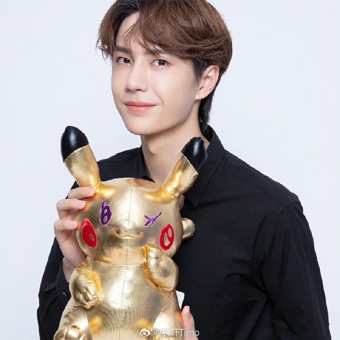 揭秘查王中王一肖中特，探尋背后的秘密，揭秘查王中王一肖中特背后的秘密真相