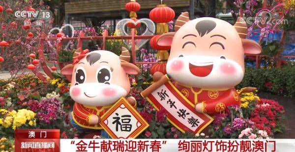 澳門金牛網(wǎng)金牛版論壇——探索與解析，澳門金牛網(wǎng)金牛版論壇，深度探索與解析