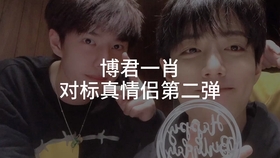 一肖拖一肖二中二有幾組——深度解析與探索，深度解析與探索，一肖拖一肖二中二有多少組組合？