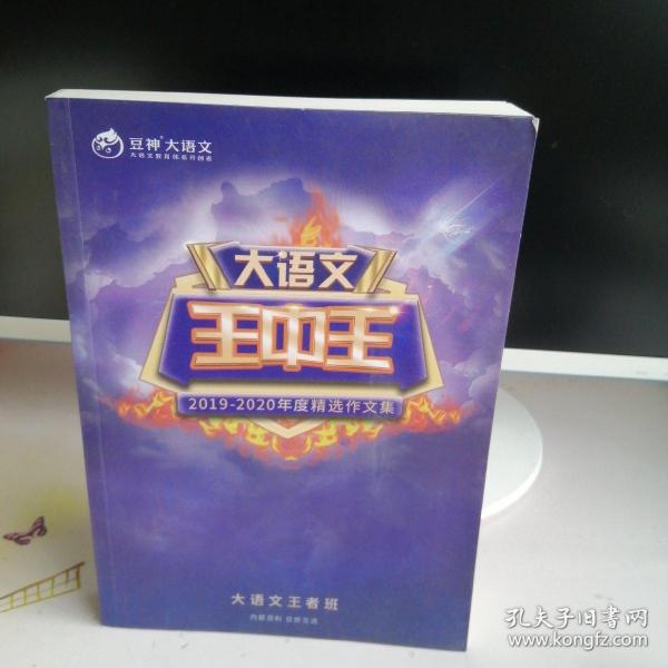 揭秘2019王中王資料一肖，全方位解讀背后的故事，揭秘王中王資料一肖背后的故事，全方位解讀與深度剖析