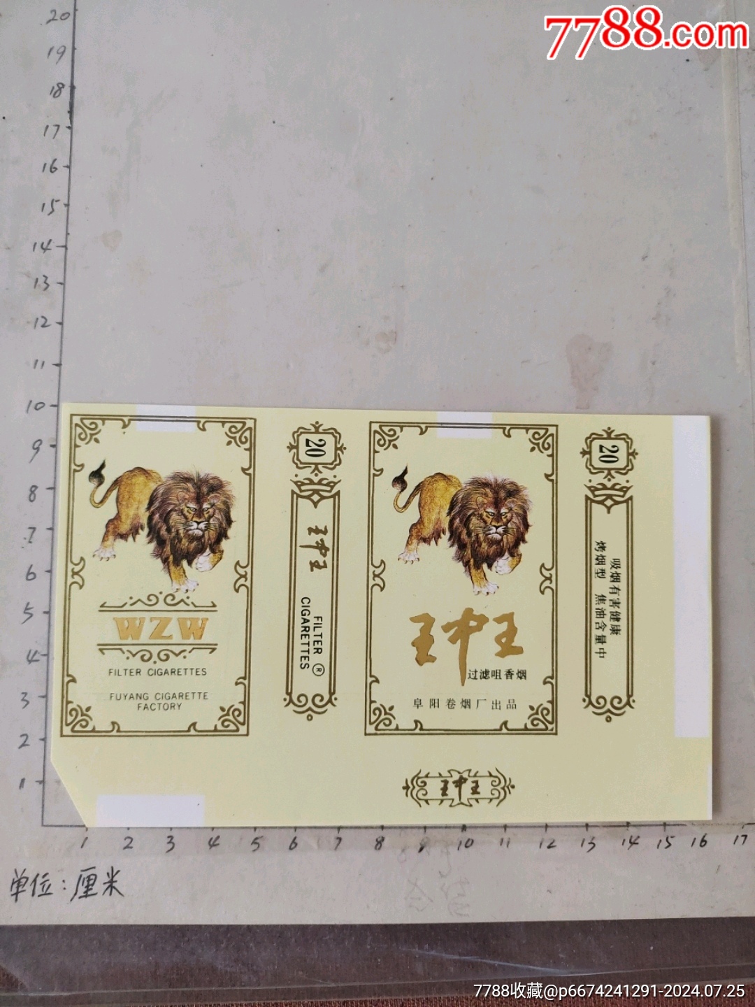 揭秘4788王中王一肖中特——探索獨特魅力的奧秘，揭秘王中王一肖中特獨特魅力的奧秘探索
