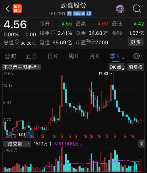 勁嘉股份股票，深度解析與前景展望，勁嘉股份股票深度解析與未來前景展望