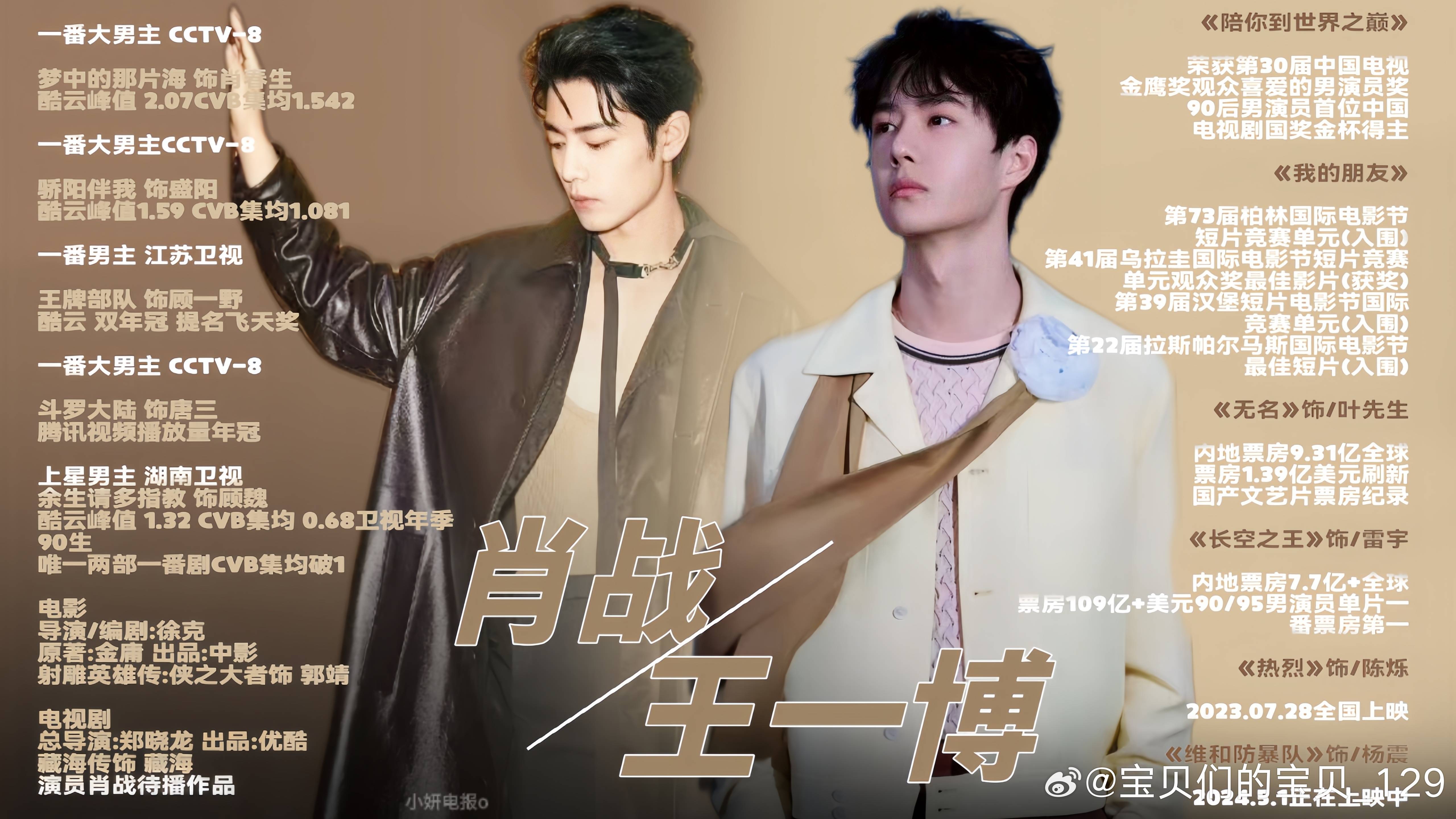 王中王一肖中特資料詳解，王中王一肖中特資料深度解析