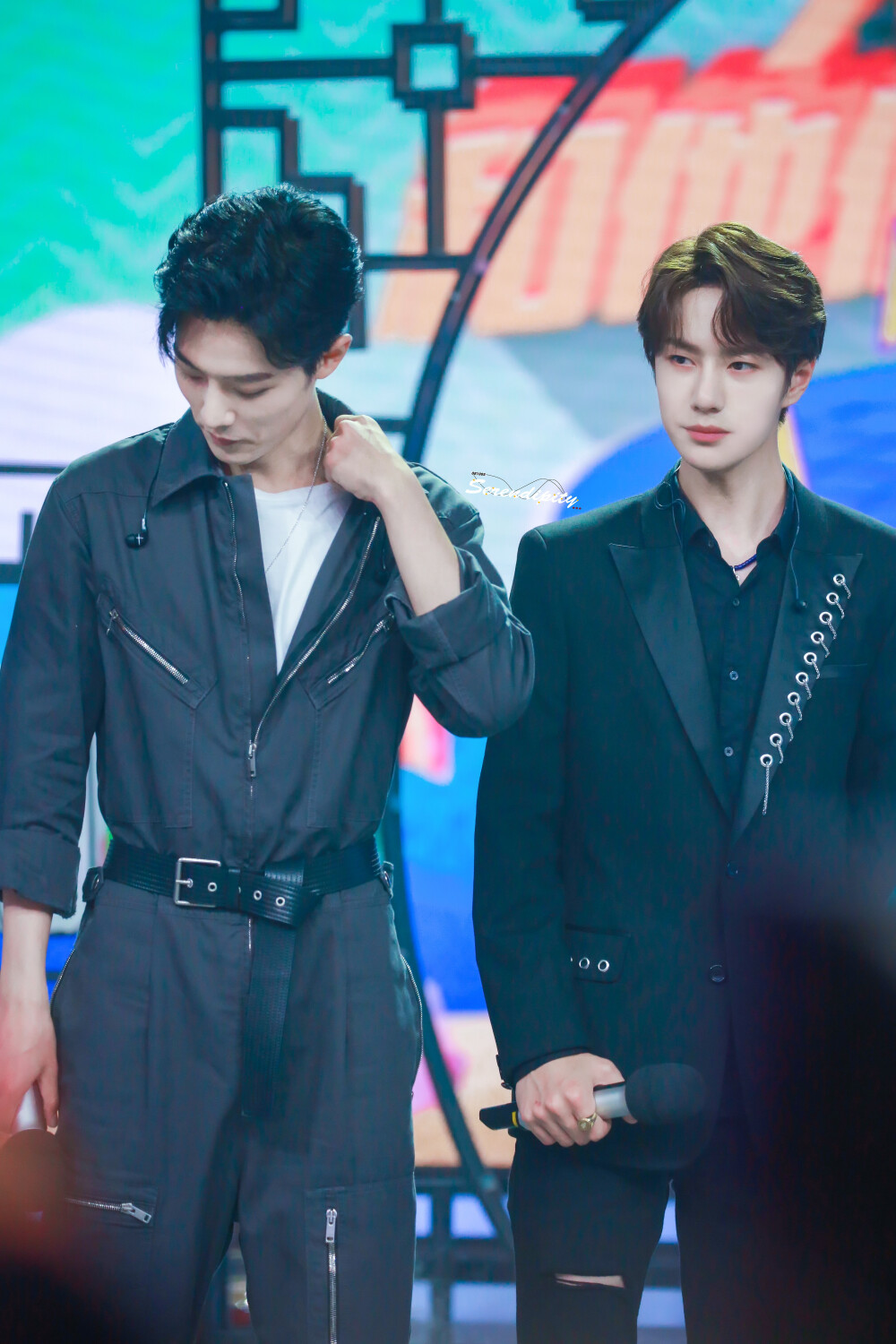 王中王一肖中特，探尋背后的故事與趨勢（2019年觀察），探尋王中王一肖背后的故事與趨勢，2019年觀察報告