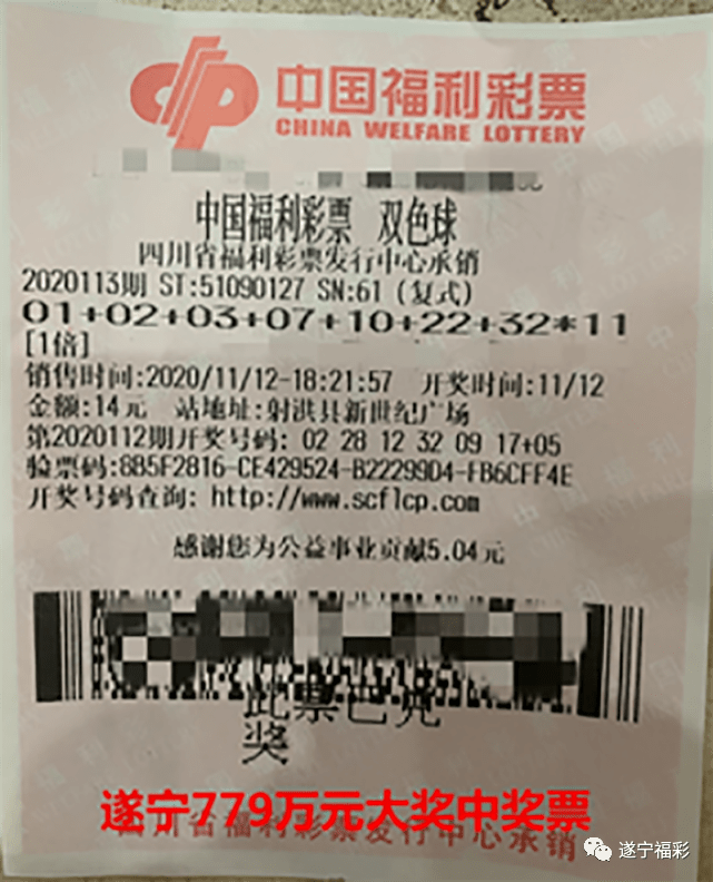 王中王遂寧平臺一肖中特，深度解析與SEO優(yōu)化策略，王中王遂寧平臺一肖中特深度解析與SEO優(yōu)化策略探討