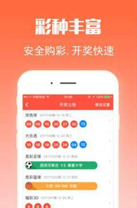 王中王三肖選一，深度解析與SEO優(yōu)化策略，王中王三肖選深度解析與SEO優(yōu)化策略指南