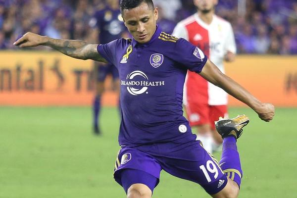 管家婆必中一肖圖正版，揭秘彩票背后的秘密與策略，揭秘彩票背后的秘密與策略，管家婆必中一肖圖正版分析