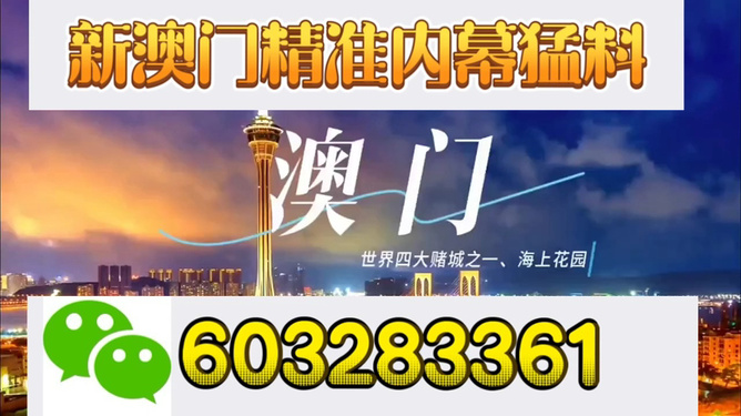 新澳門開獎結果，探索與解析，新澳門開獎結果深度解析與探索