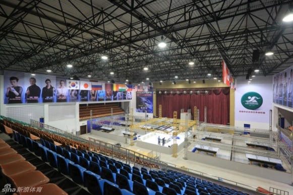 王中王一肖一馬中特平臺(tái)，探索與解析，王中王一肖一馬中特平臺(tái)深度探索與解析