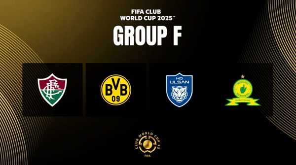 2025新澳正版資料精準(zhǔn)解析與預(yù)測(cè)，2025新澳正版資料精準(zhǔn)解析與趨勢(shì)預(yù)測(cè)