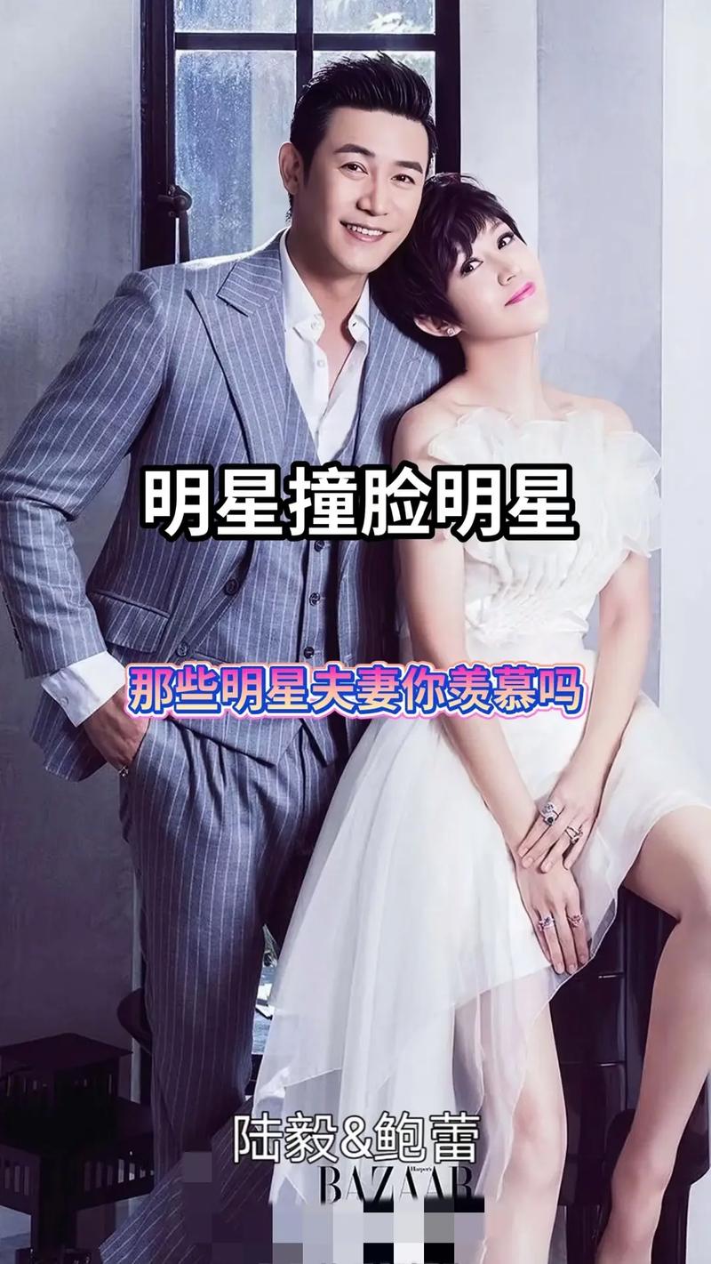 明星夫妻名單大全，揭秘娛樂圈的愛情佳話，娛樂圈明星夫妻名單揭秘，愛情佳話大全