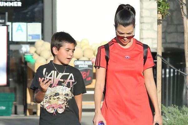 王中王兔費一肖，揭秘背后的秘密與SEO策略，揭秘王中王兔費預測背后的秘密與SEO策略