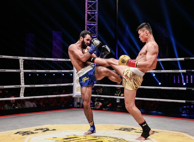 王中王網(wǎng)四肖主一碼，深度解析與SEO優(yōu)化策略，王中王網(wǎng)四肖主一碼，深度解析與SEO優(yōu)化策略全攻略