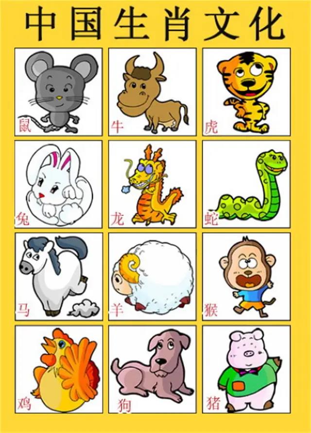 一肖有哪些生肖——生肖文化深度解析，生肖文化深度解析，揭秘十二生肖中的一肖奧秘