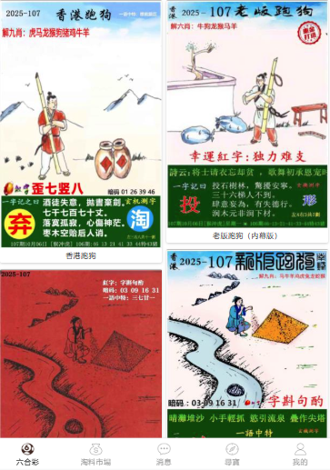 2004新澳門天天開好彩大全正版——全面解析與回顧，澳門彩票解析與回顧，2004年天天好彩正版大全