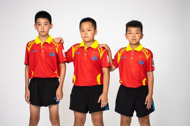 王中王白小姐四肖選一，揭秘背后的秘密與策略，揭秘王中王白小姐四肖選一背后的秘密與策略之道