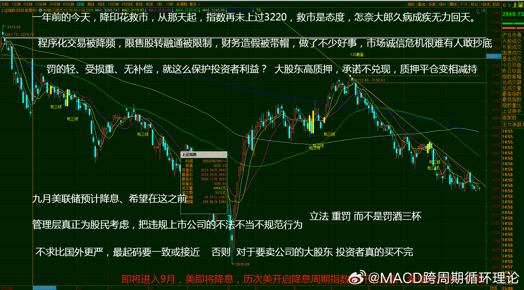 新浪財(cái)經(jīng)002033，深度解析與前景展望，新浪財(cái)經(jīng)002033深度解析與未來(lái)前景展望