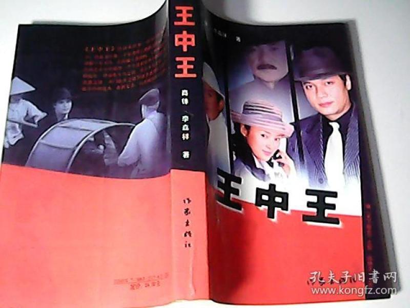 王中王資料一肖中特小說，深度解析與探索，王中王資料一肖中特小說的深度解析與探索之旅