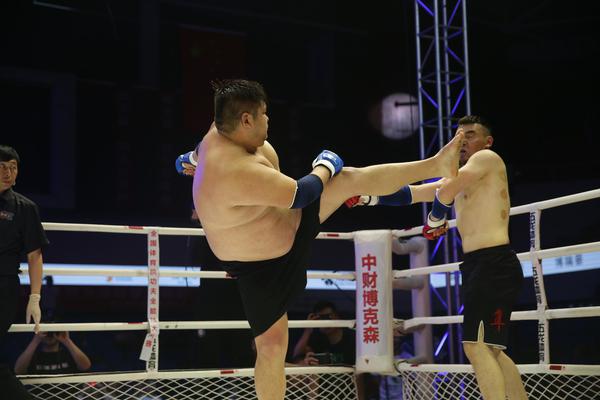 特特馬王中王一碼一肖，揭秘背后的秘密與探索SEO優(yōu)化策略，特特馬王中王一碼一肖，揭秘背后的秘密與SEO優(yōu)化策略探索