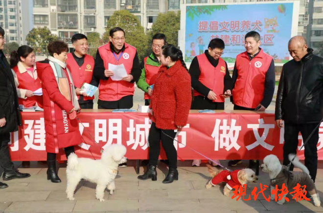 急先鋒澳門六肖，深度解析與探索，澳門六肖急先鋒，深度解析與探索