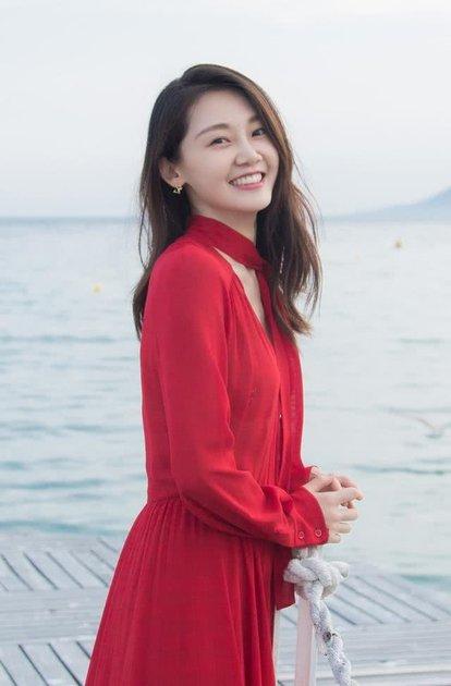 苗苗演過的電視劇，演藝之路的璀璨之星，苗苗演藝之路，電視劇中的璀璨之星