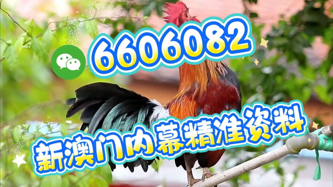 澳門特馬今天開獎結果，揭秘彩票背后的秘密，澳門特馬今天開獎結果揭秘，彩票背后的秘密大揭曉