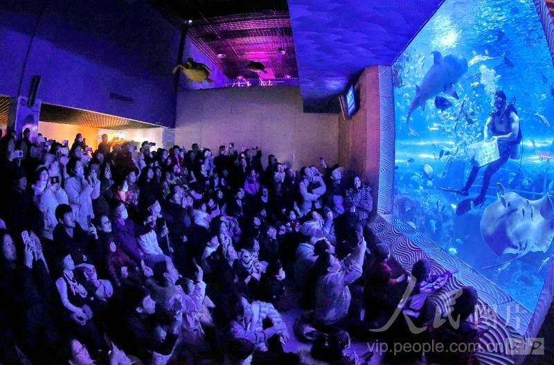 新澳2025今晚開獎(jiǎng)結(jié)果揭曉，期待與驚喜的交匯點(diǎn)，新澳2025今晚開獎(jiǎng)結(jié)果揭曉，期待與驚喜的碰撞