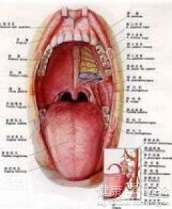 扁桃體炎最怕三種藥，了解并預(yù)防扁桃體炎的有效方法，扁桃體炎最怕的三種藥物及預(yù)防方法解析