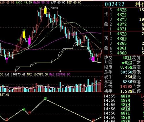 關(guān)于股票投資，深度解析002422股票的投資價(jià)值，深度解析，股票投資中的002422股票投資價(jià)值探究