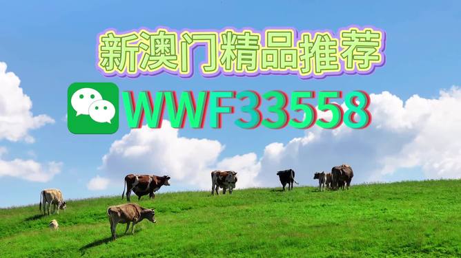 揭秘今晚9點(diǎn)30生肖運(yùn)勢(shì)，你的生肖運(yùn)勢(shì)如何？，揭秘今晚9點(diǎn)30生肖運(yùn)勢(shì)，你的生肖運(yùn)勢(shì)走向如何？